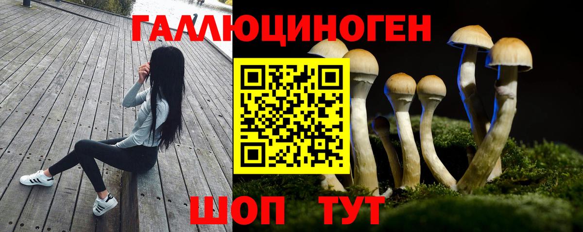 Галлюциногенные грибы Psilocybine cubensis  Вход с VPN  Семёнов 